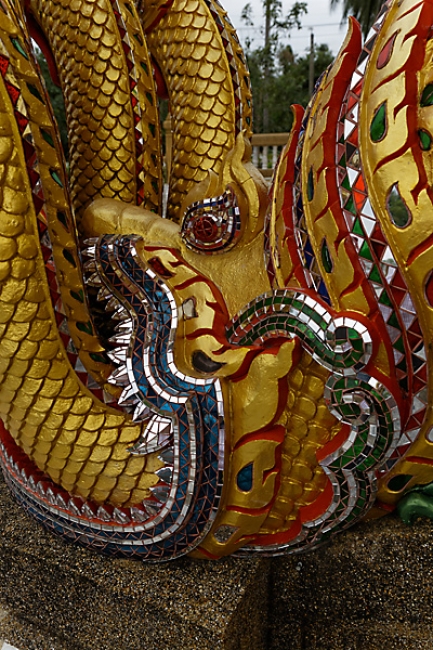 Talin chan-NOV13-107